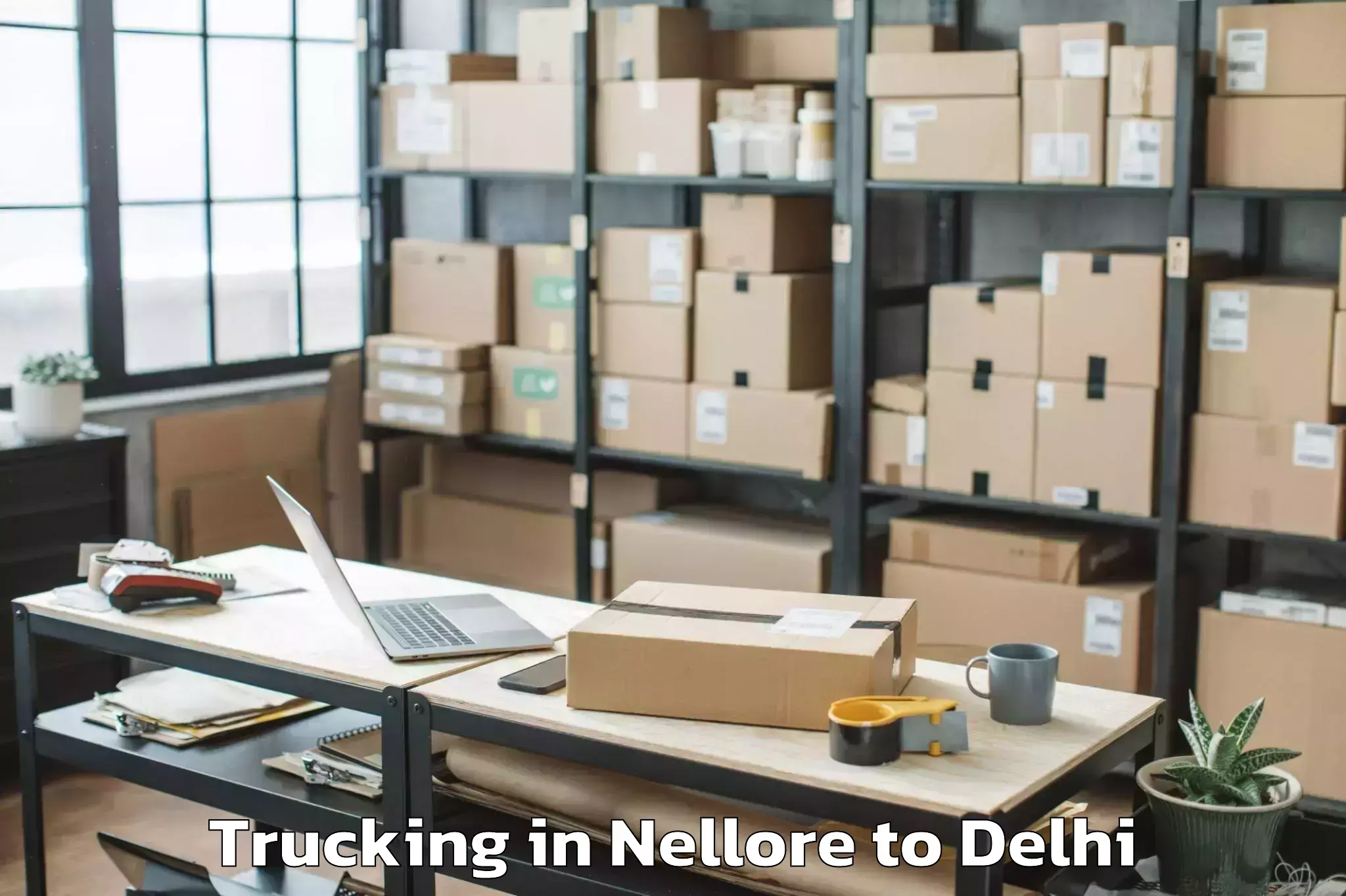 Book Your Nellore to Alipur Trucking Today